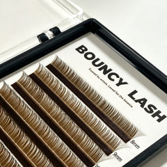 Brown Premium Lashes Colored Volume Eyelash Extensions