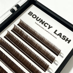 Dark Brown Premium Lashes Colored Volume Eyelash Extensions